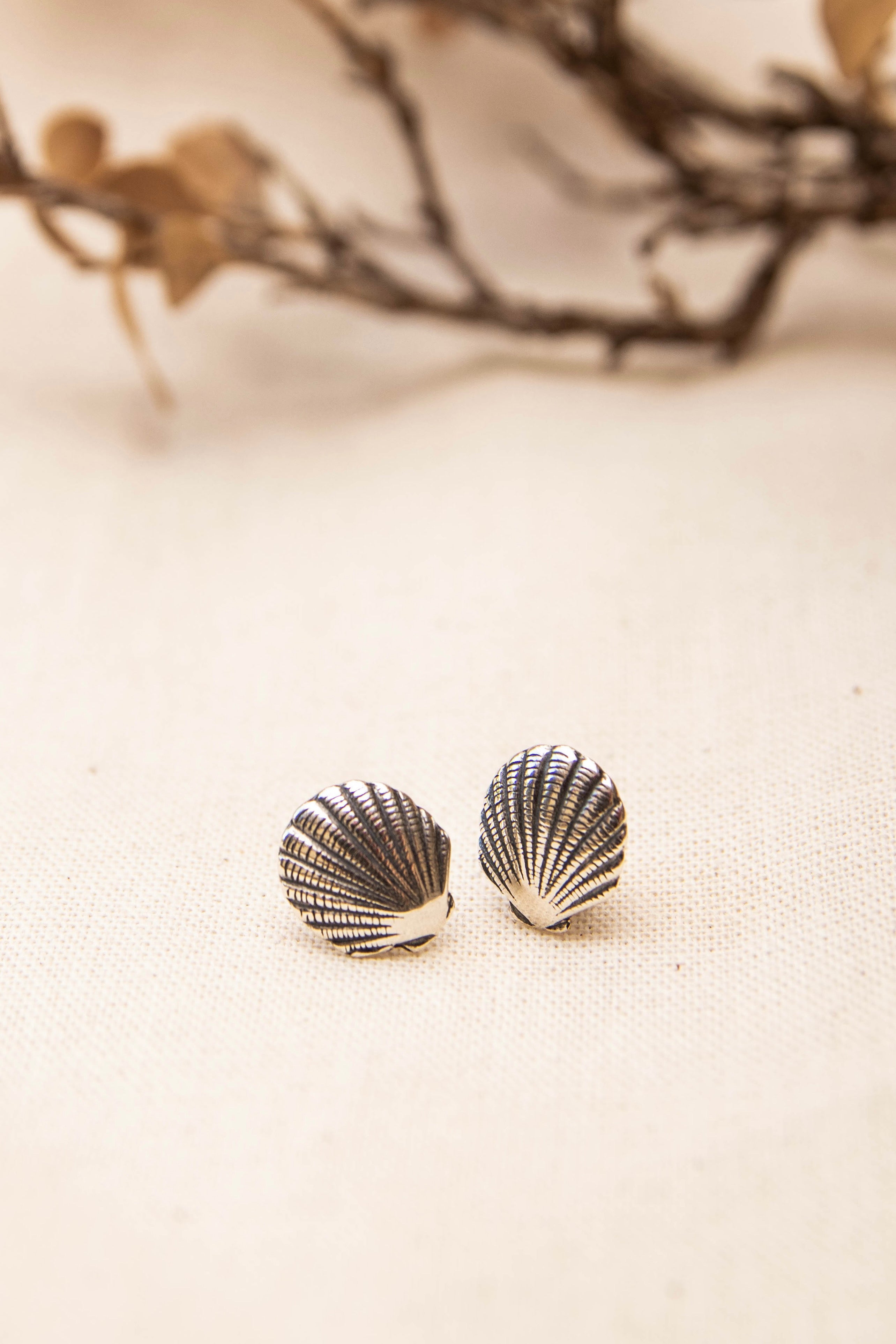 Shell Earrings