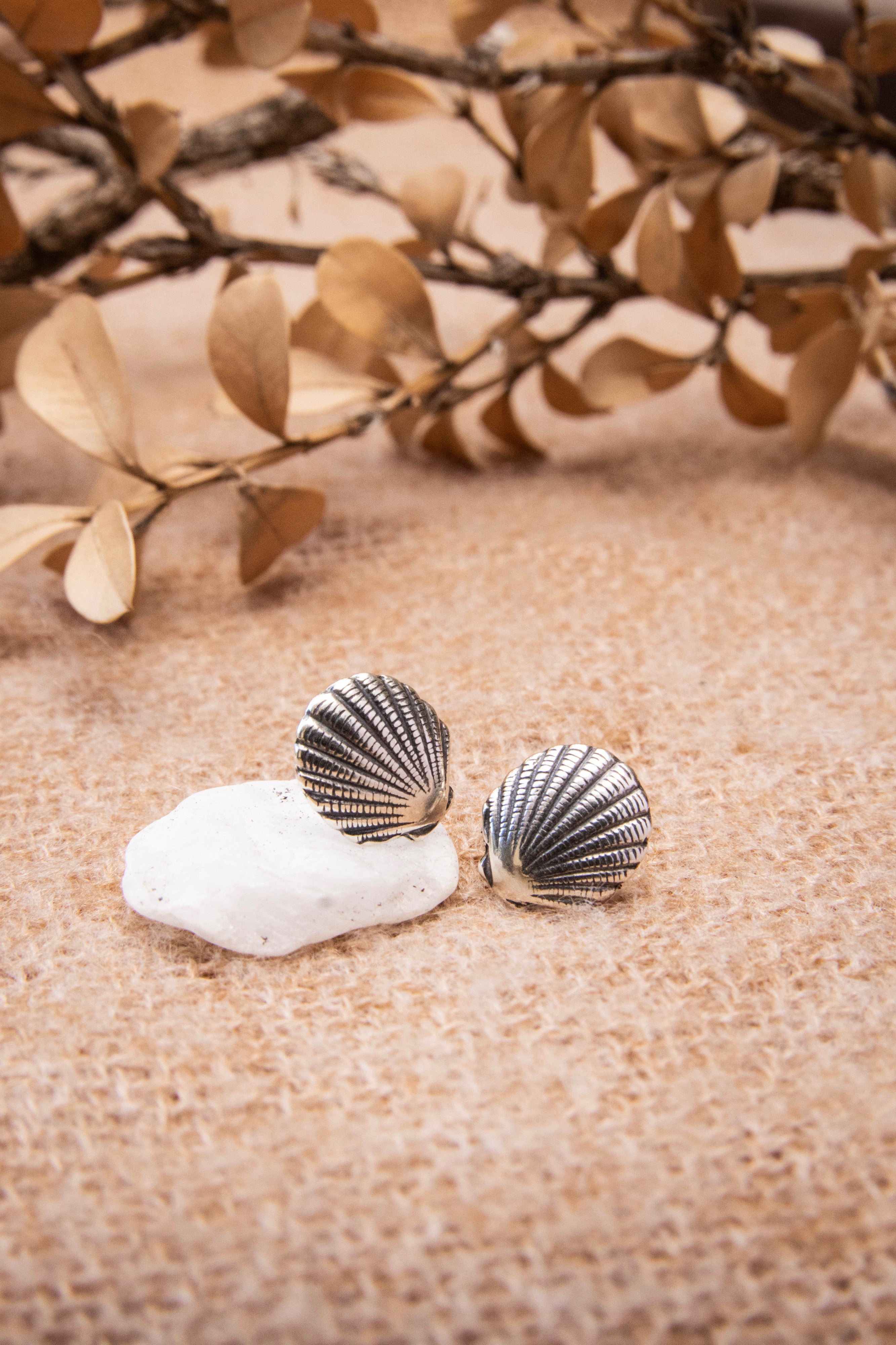 Shell Earrings
