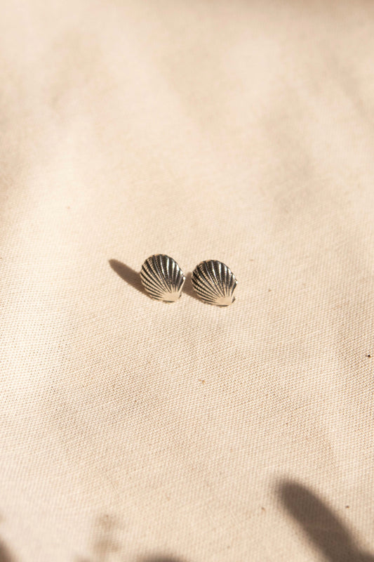 shell earrings